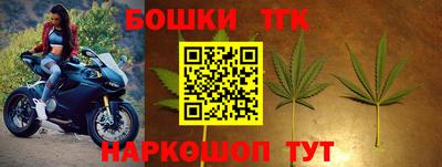PSILOCYBIN Северобайкальск