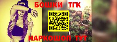 a pvp Славгород
